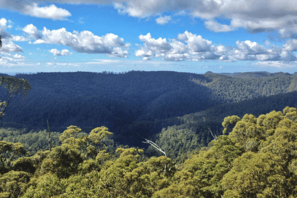 Spring Brook National Park Self Guided Driving Tour — image 2