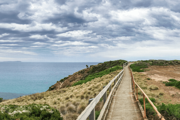 Phillip Island Self Guided Driving Tour — image 5