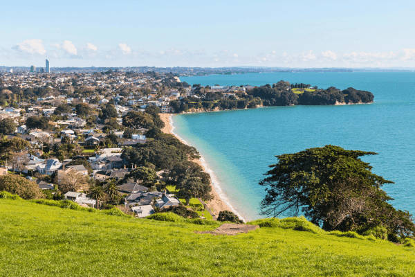 Auckland Tours Bundle