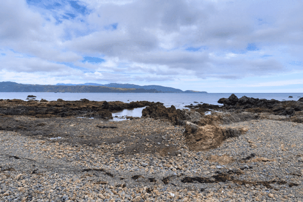 Wellington Coastal Self Drive Tour — image 4