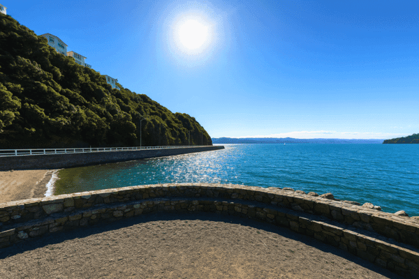 Wellington Coastal Self Drive Tour — image 2