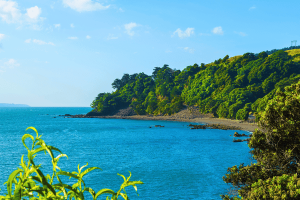 Coromandel Peninsula New Zealand Self Drive Tour — image 2