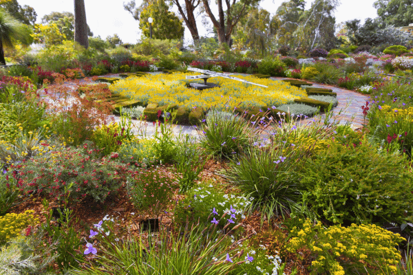 Perth Forest to Foreshore Self Guided Walking Tour — image 2
