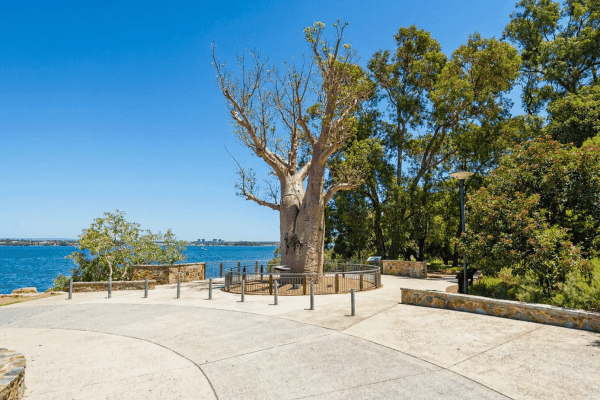 Perth Forest to Foreshore Self Guided Walking Tour — image 3