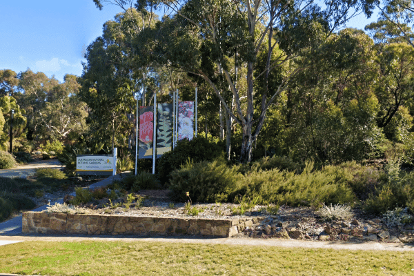 Canberra City Highlights Self Guided Walking Tour — image 4