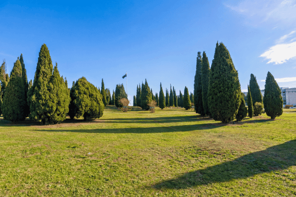Canberra City Highlights Self Guided Walking Tour — image 2