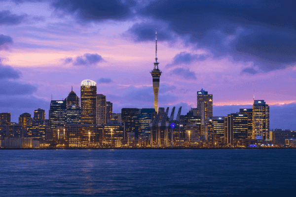 Auckland Tours Bundle