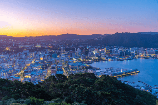 Wellington Tours Bundle